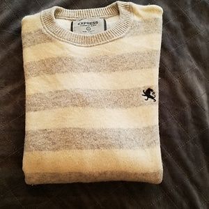 Mens Express sweater